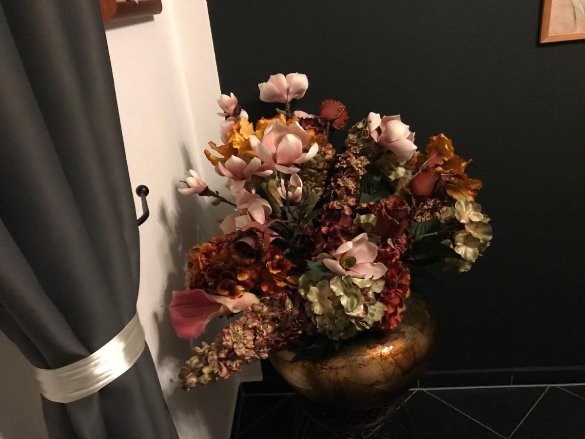 Apartment Alexis 布拉迪斯拉发 外观 照片